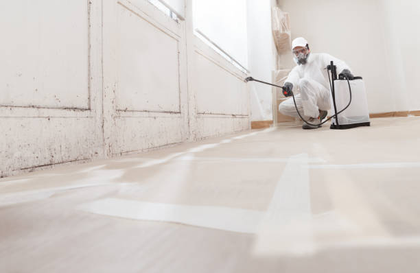 24/7 Emergency Mold Remediation experts in Weston, MA