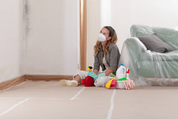 Reliable Mold Remediation contractor in Weston, MA by 24 Hour Mold Removal